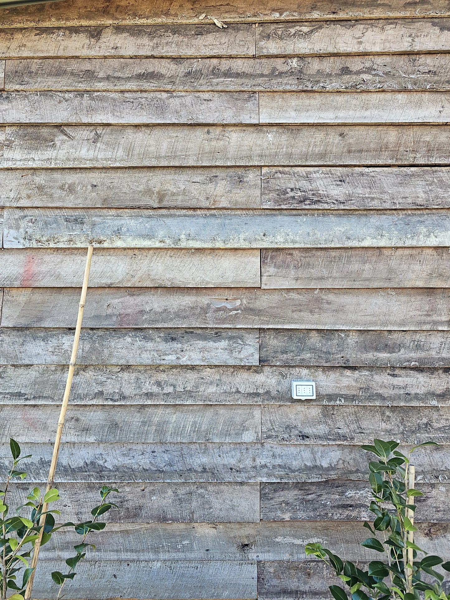 Revestimiento Asoleado