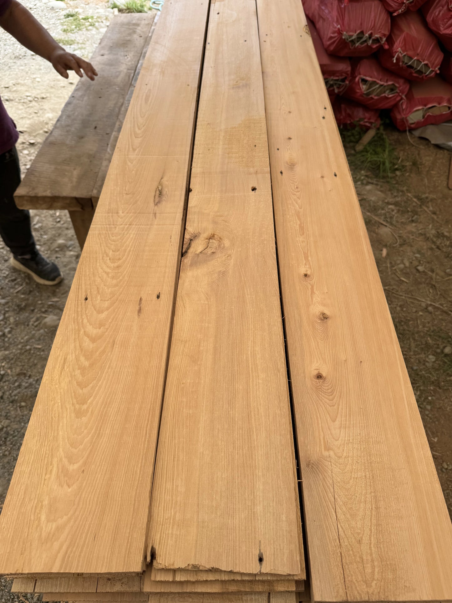 Revestimiento de Mañio