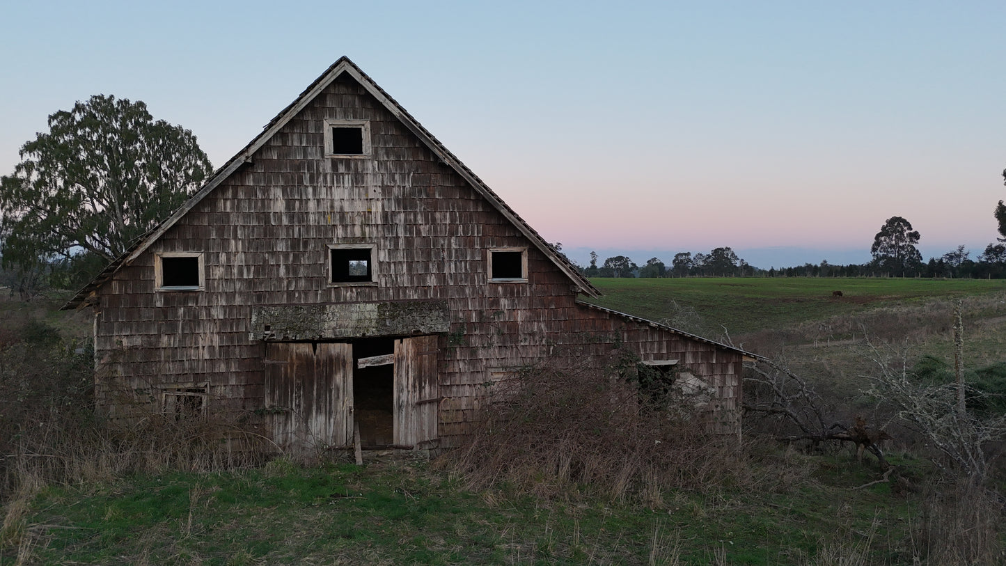 Galpón Línea Errazuriz